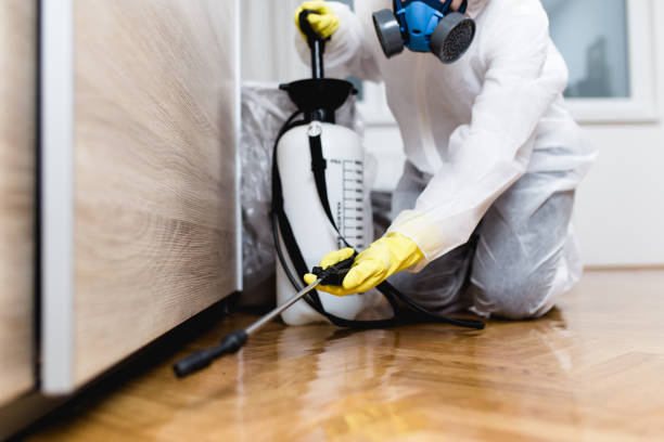 Best Pest Removal Services  in Green Tree, PA