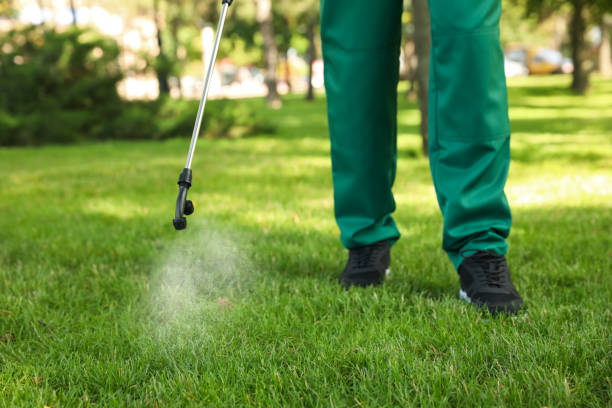 Best Local Pest Control Services  in Green Tree, PA